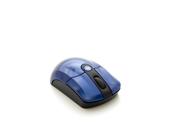Maus