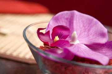 decoration of dining table. orchid