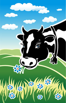 Kind cow on a meadow