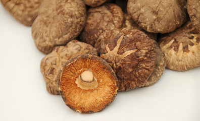 mushroom