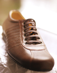 Leather Design Brown Shoe