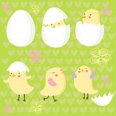 Happy newborn chicken concept