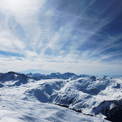 Naklejka premium carré alpin