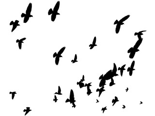 Vector Birds Flying Away - Peace to the World