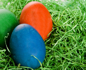 Easter egg on green grass