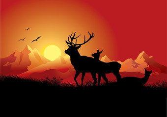 Fototapeta na wymiar deers in the mountains on sunset