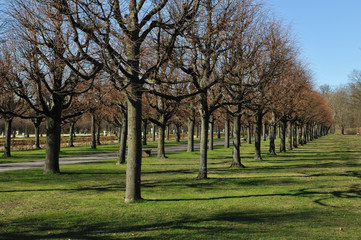 Vorfrühling im Park