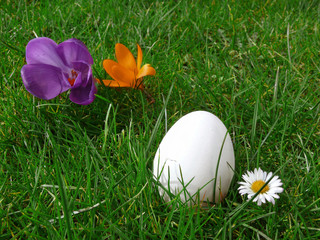 Ostern,Osterei auf Wiese.