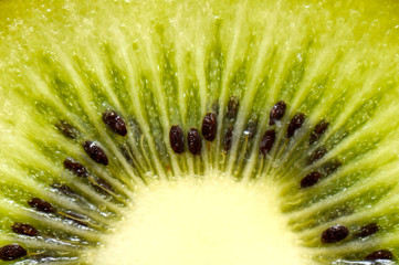 close-up kiwi background