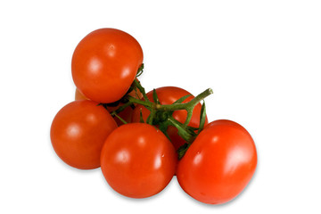 tomatoes
