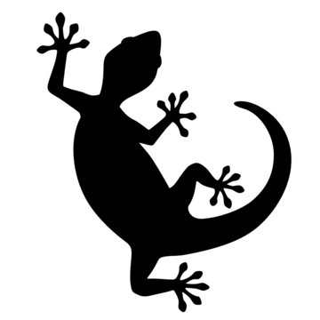 Silhouette de l&eacute;zard