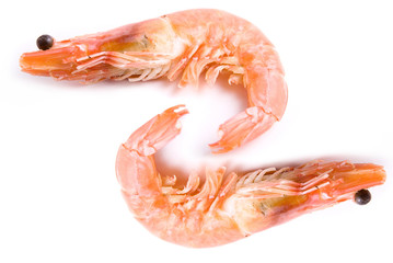 Two Shrimps