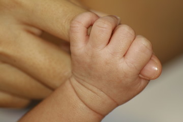 new born baby's hand