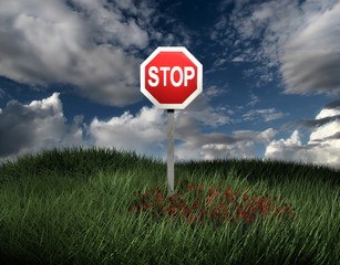 stop