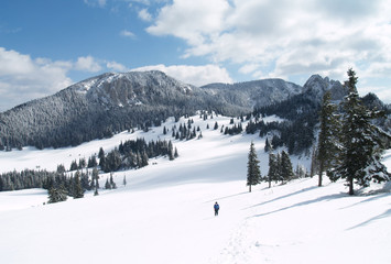 Fototapeta na wymiar winter in carpathians