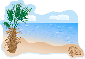 Summer beach with palm