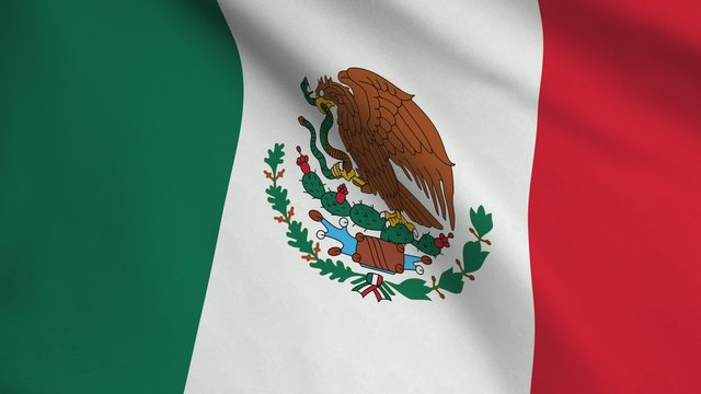 Mexican Flag