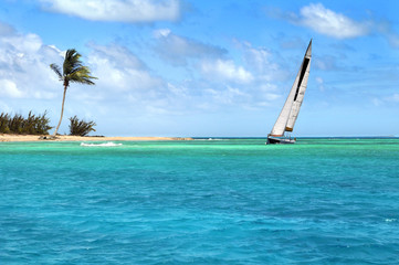 Sailboat Sailing on Tropical Seas