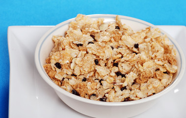 closeup bowl of cereal with dried  blueberries