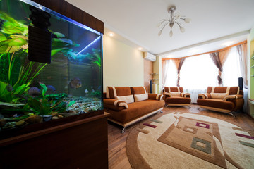 aquarium in a room - 12861761