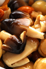 Funghi sottolio - Contorni