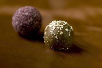 Trüffelpralinen