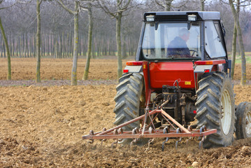 Fototapeta premium agricoltura
