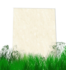 page sur l' herbe verte avec ciel bleu