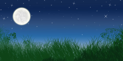 nuit de pleine lune en campagne © Nathalie Bosansky