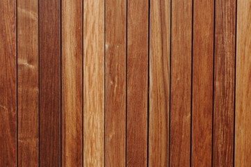 Fototapeta premium Holz