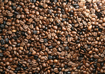 Cafe en grano