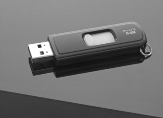 Memory stick