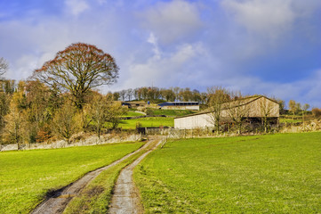 Fototapeta na wymiar Farm w angielskiej wsi