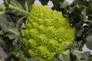 cauliflower