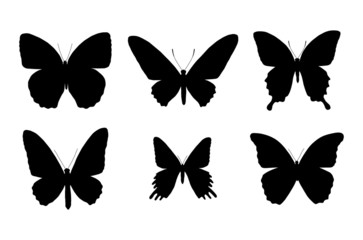 Fototapeta na wymiar butterfly silhouettes