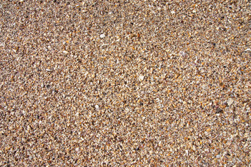 Natural broken sea shells on beach