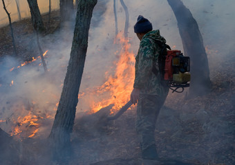 Suppression of Forest Fire 13