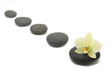 Fototapeta na wymiar zen stones with orhids flower isolated. spa background