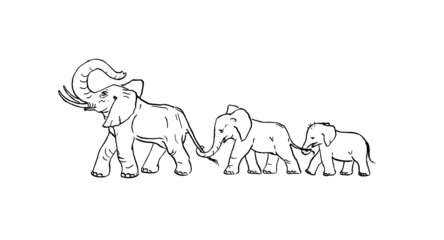 Fototapeta na wymiar Rodzina słoni