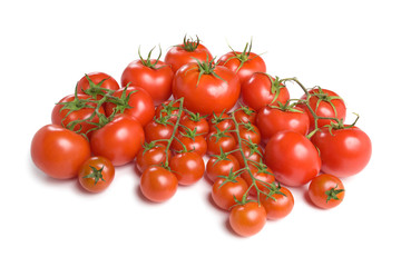 Tomatoes-3