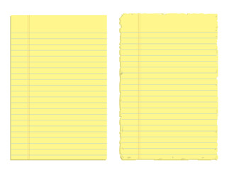 Two Sheet of Papers