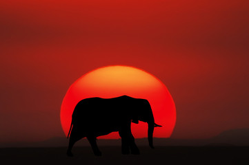 Fototapeta na wymiar African sunset, Kenia