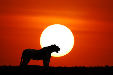 African sunset, Kenya