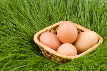 easter eggs  & grass