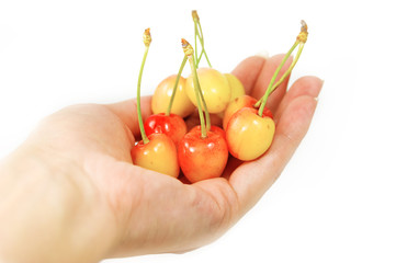 Cherries in hand