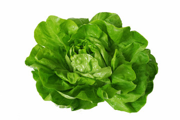 green lettuce over white