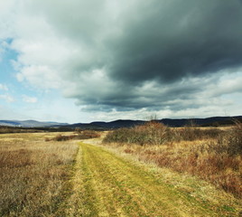 Autumn field