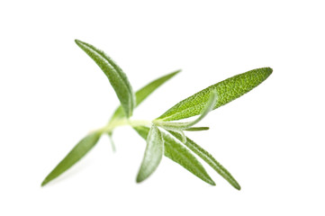 rosemary