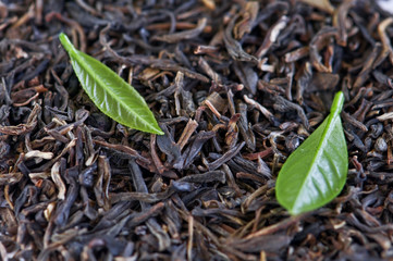 tea
