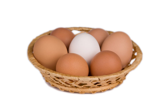 eggs of the hen